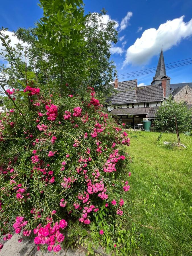 Villa 300 Jahre Altes Renoviertes Fachwerkhaus Peterslahr Esterno foto